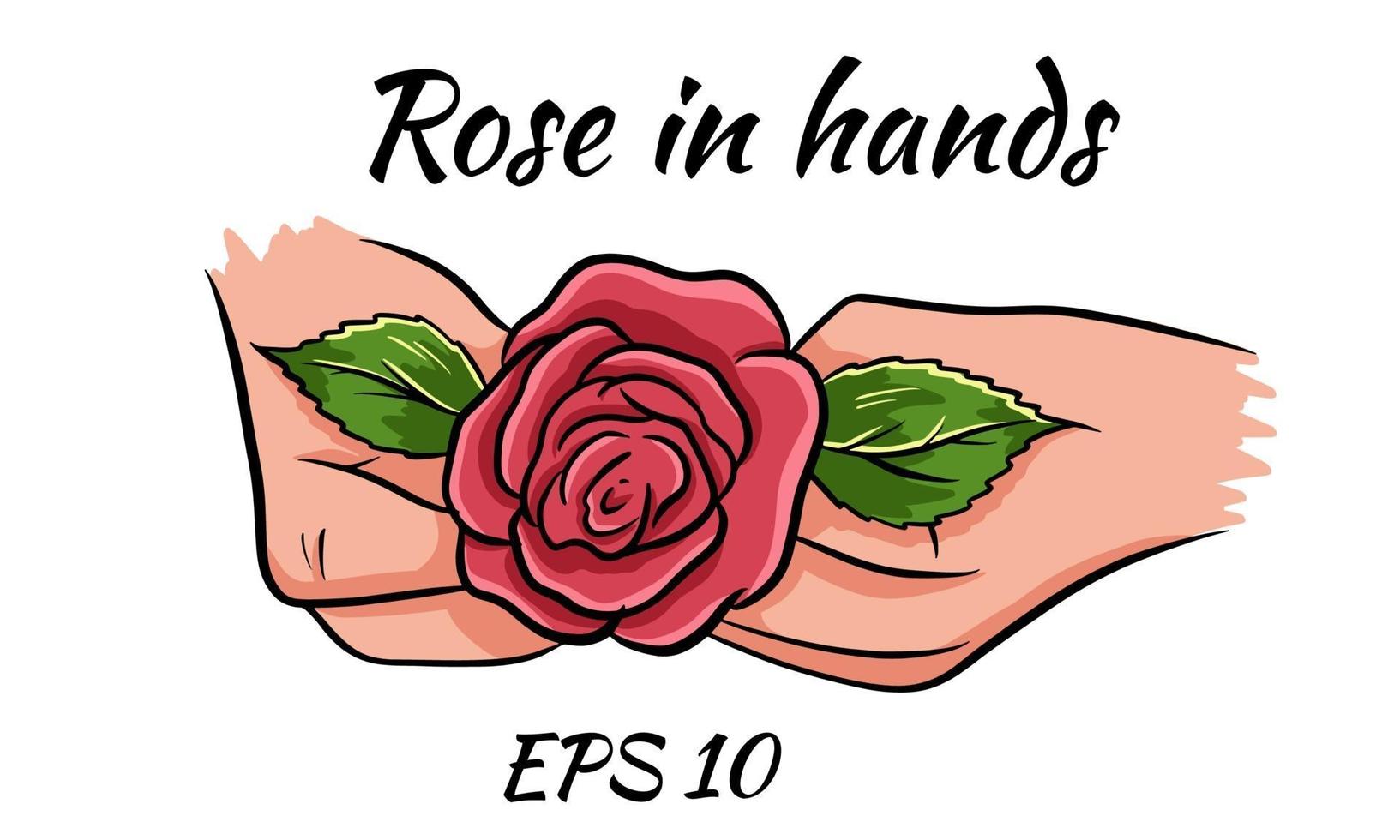 rose rouge dans les mains des femmes. dessin romantique.isolated sur fond blanc. vecteur