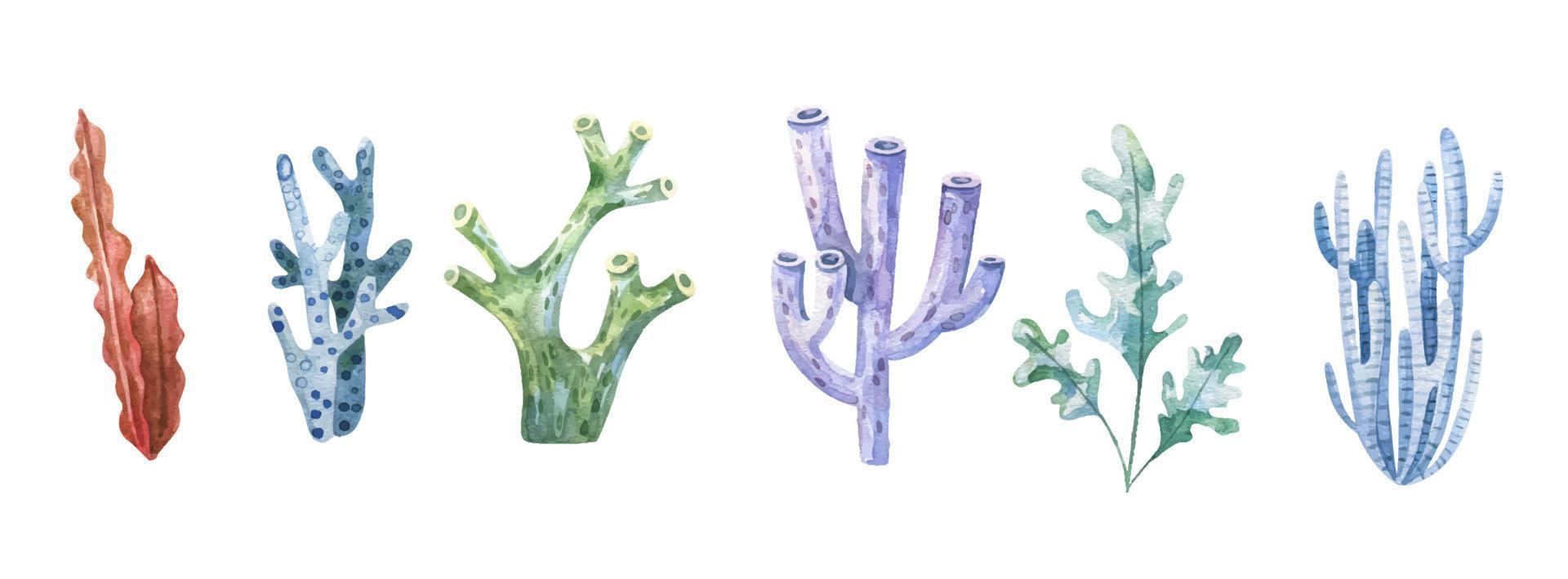 algue ensemble. sous-marin les plantes. aquarelle illustration. océan. algues marines algues, corail récif conception élément. aquarium les plantes silhouettes vecteur