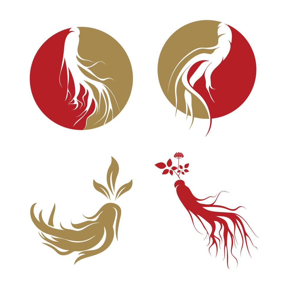 modèle de conception de logo de ginseng et icône de symbole vecteur