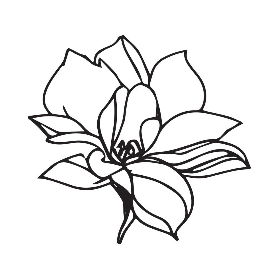 illustration vectorielle fleur vecteur