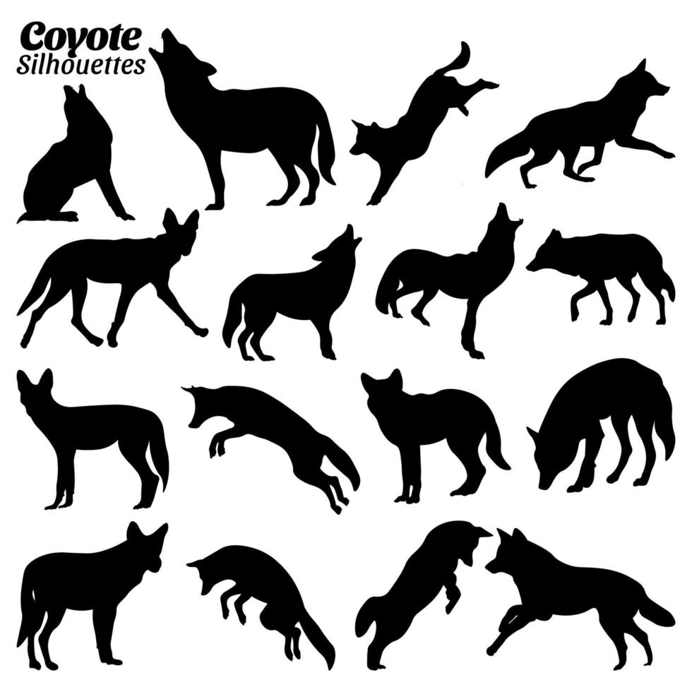 coyote silhouette vecteur illustration ensemble.