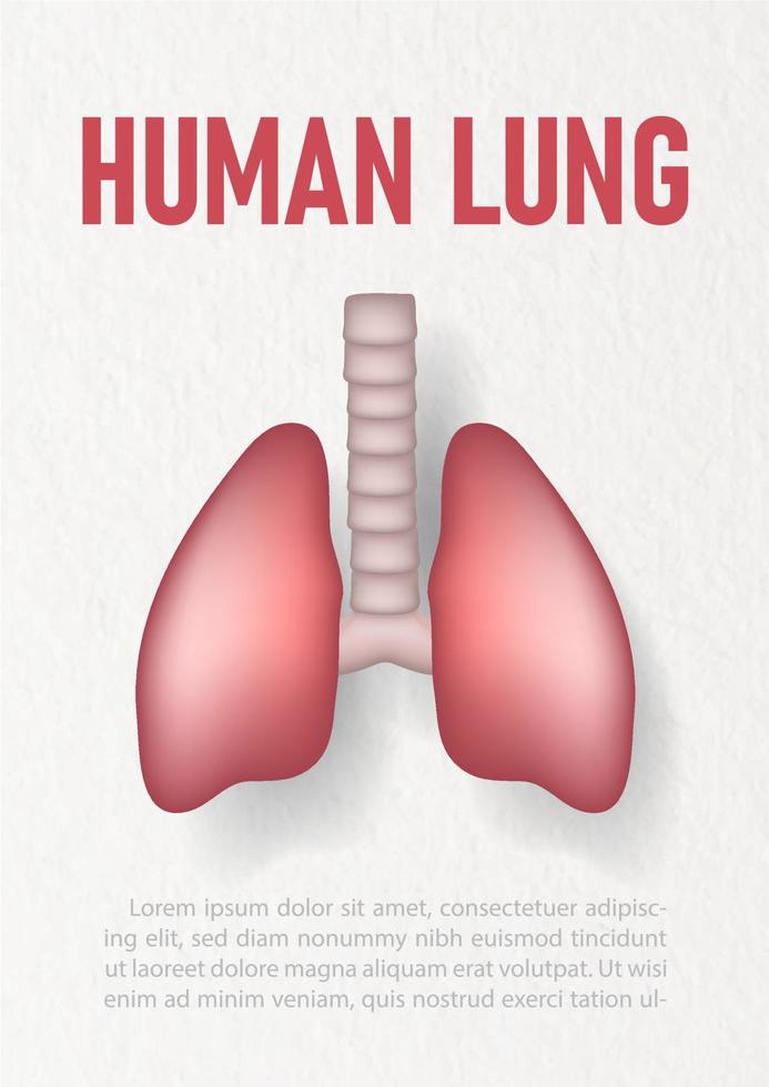Humain poumon dans 3d engrener style avec caractères et exemple des textes sur blanc papier modèle Contexte. vecteur