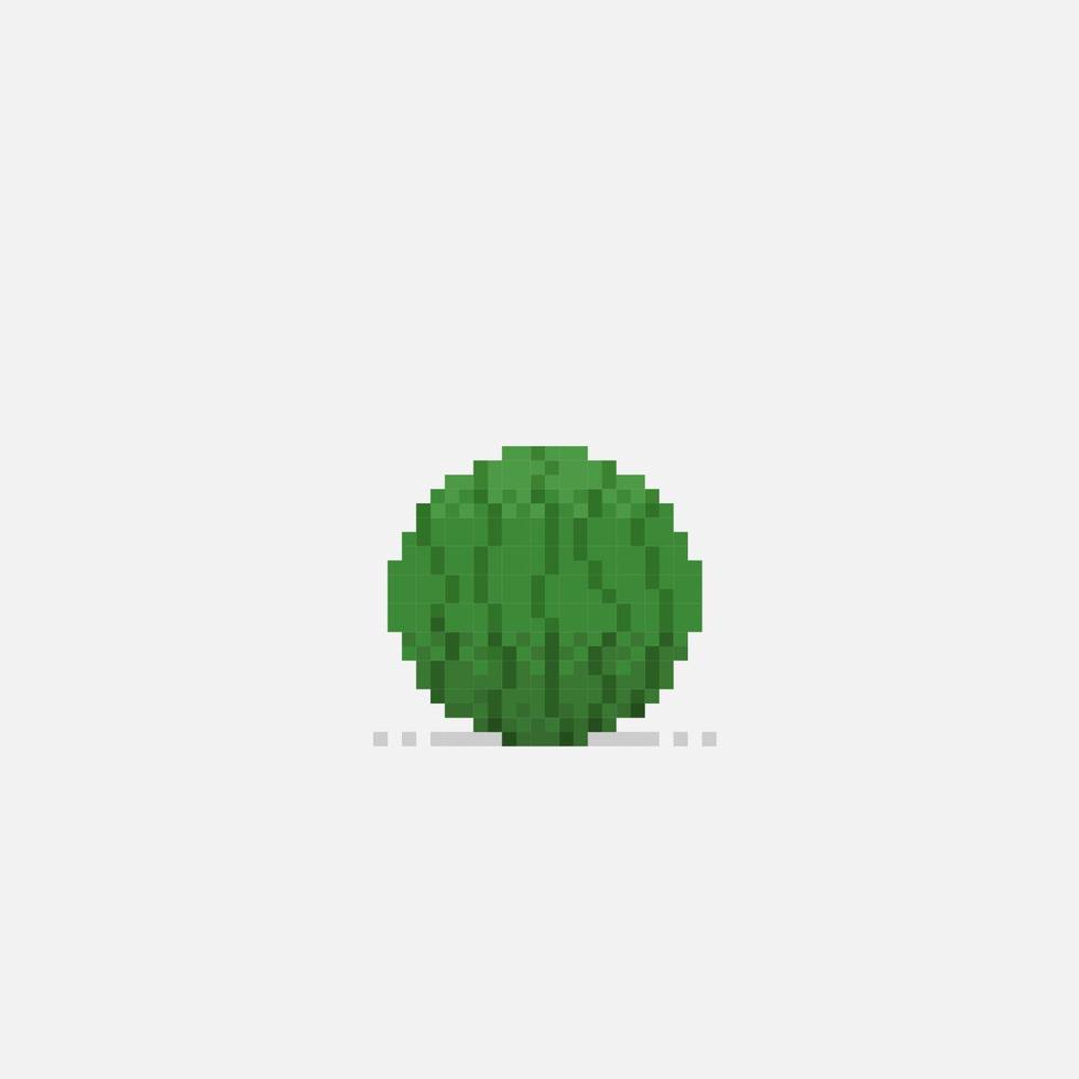 une pastèque dans pixel art style vecteur