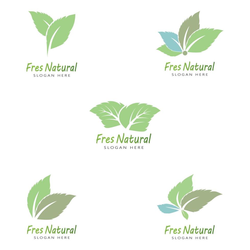 modèle de logo feuille icône vector illustration design