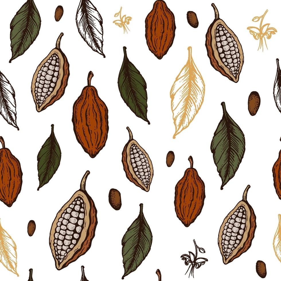 modèle sans couture de fèves de cacao. illustration dessinée à la main de croquis de style gravé. haricots de cacao au chocolat, feuilles, graines, fleurs et noix. vecteur