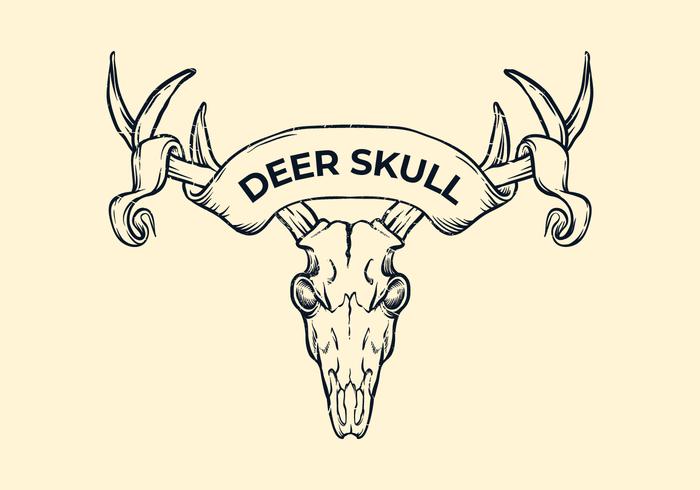 Cerf Skull Witih Ruban vecteur