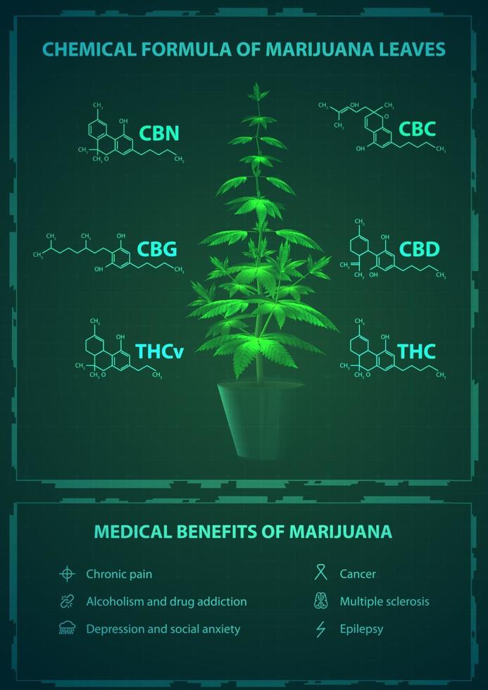 avantages médicaux et formules chimiques de la marijuana, affiche verte avec buisson de marijuana numérique avec des formules chimiques de cannabinoïdes naturels et infographie avec des avantages médicaux vecteur