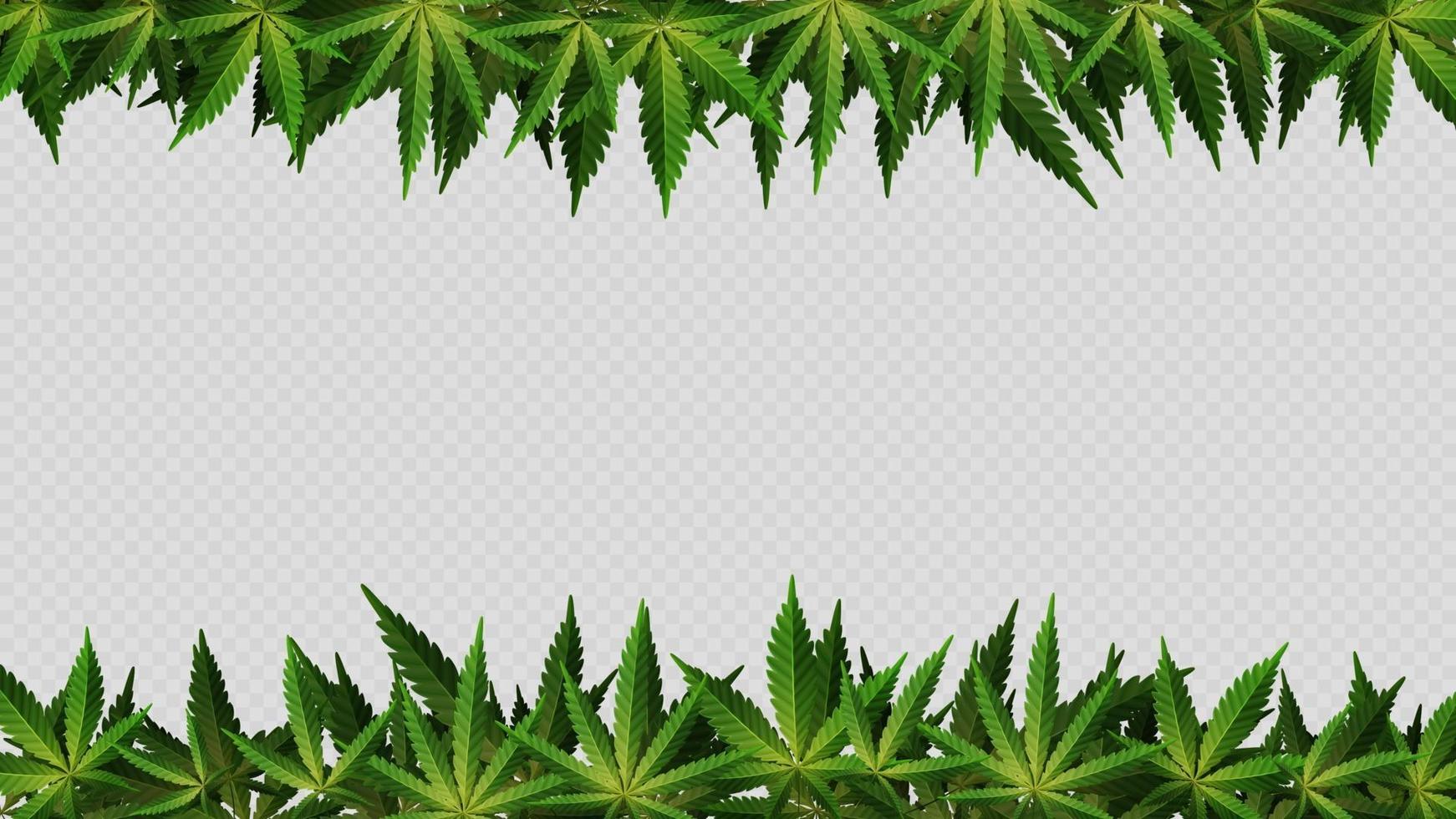 cadre de feuilles de chanvre autour de l'espace vide horizontal. mise en page d'un cadre en feuilles de cannabis pour votre créativité vecteur
