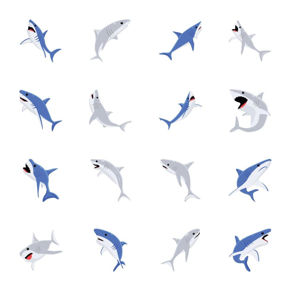 pack de les requins plat vecteur dessins