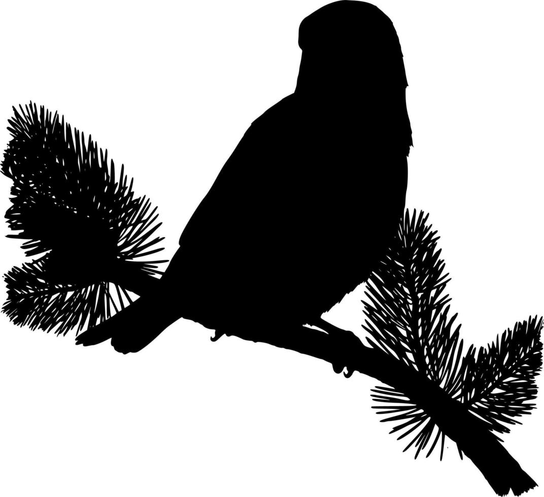 vecteur silhouette de oiseau sur blanc Contexte