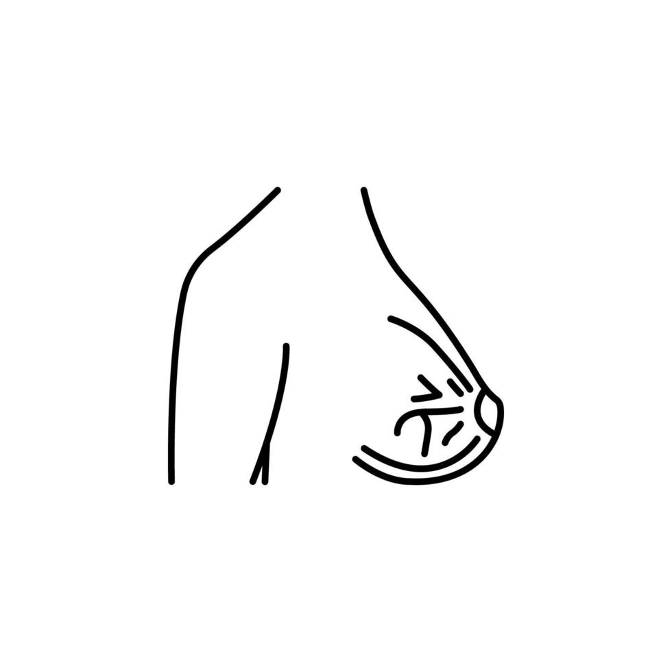 sein, muscle, femme corps vecteur icône illustration