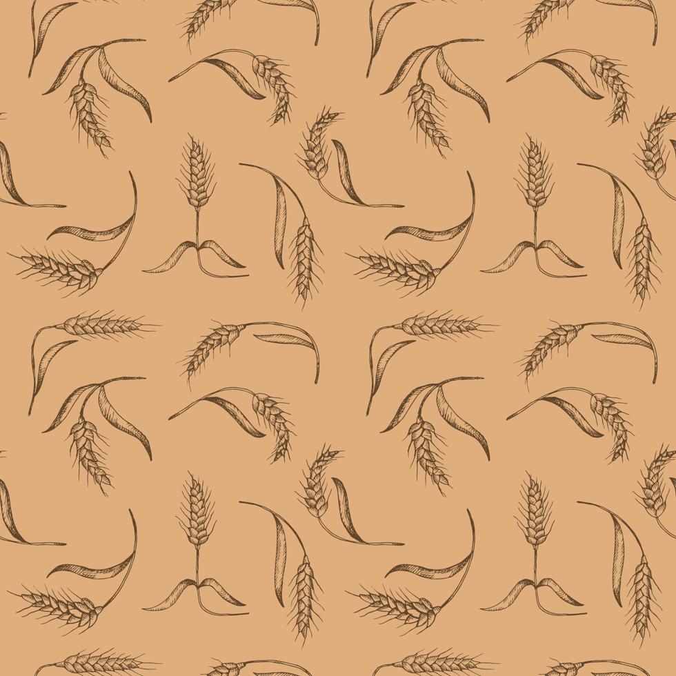 sans couture répéter modèle avec oreilles de blé, orthographié sur une beige Contexte. floral ornement avec un oreille de blé. grain récolte. main dessiné. Contexte vecteur illustration