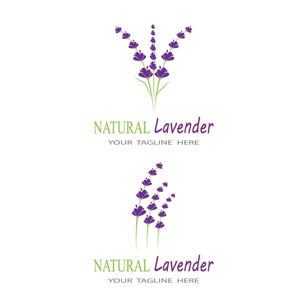 lavande logo modèle vecteur symbole nature