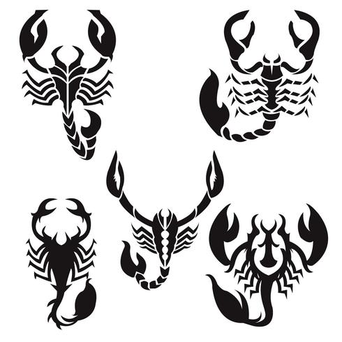 Tatouage Scorpion vecteur