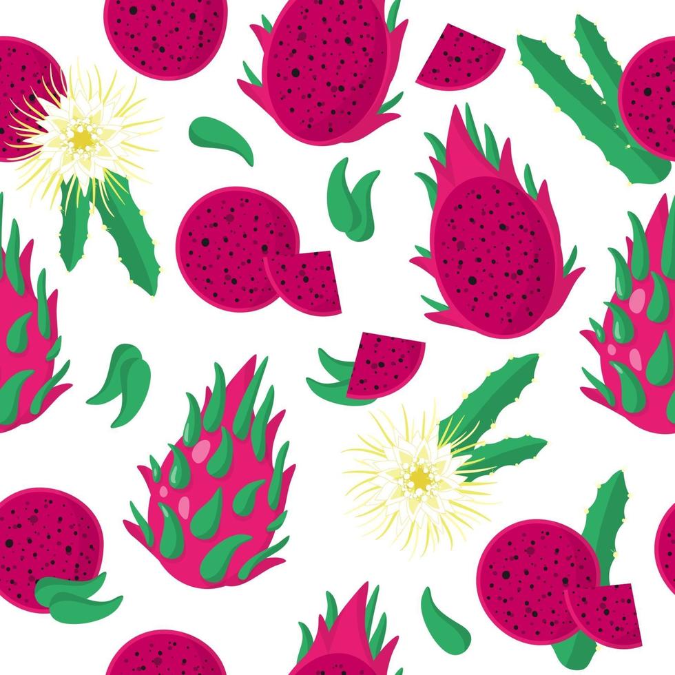 Modèle sans couture de dessin animé de vecteur avec fruit du dragon ou fruits exotiques pitaya rouge sucré, fleurs et feuilles sur fond blanc