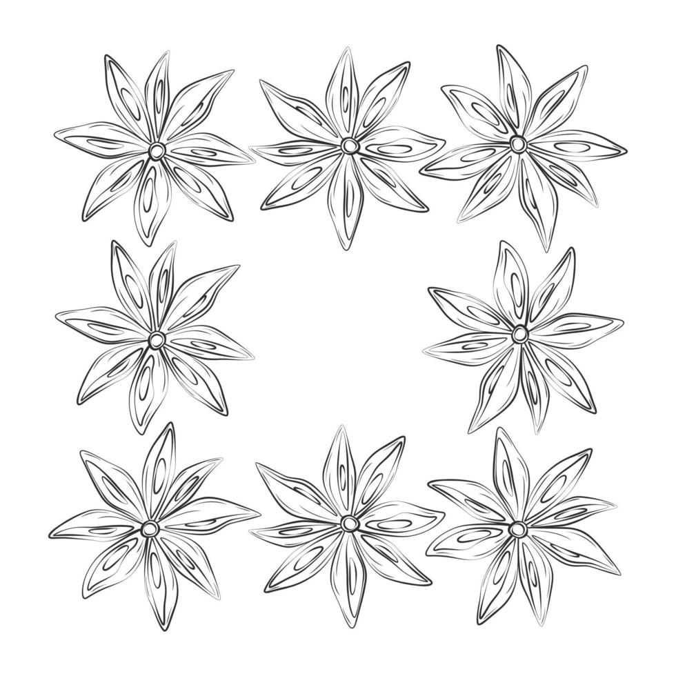 abstrait carré Cadre de contour dessin étoile anis avec espace de copie. herbes et épices journée. isoler. vecteur