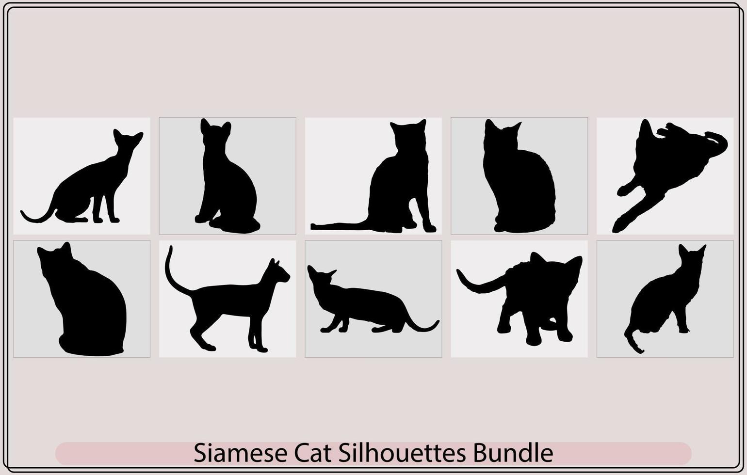 Siamois point de couleur chats. vecteur illustration, siamois chat, chats frontière ensemble avec silhouette