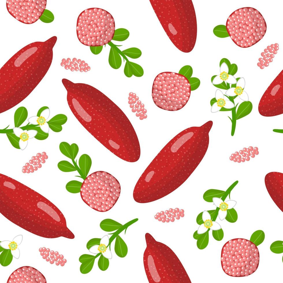 Modèle sans couture de dessin animé de vecteur avec des fruits exotiques de fingerlime rouge d'agrumes, des fleurs et des feuilles sur fond blanc