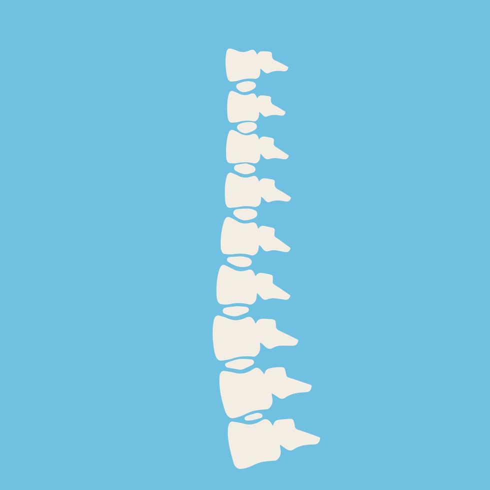 problèmes avec colonne vertébrale. posture questions. vertébral colonne. radiographie de interne organes. médical se soucier. fracture de intervertébral disques vecteur