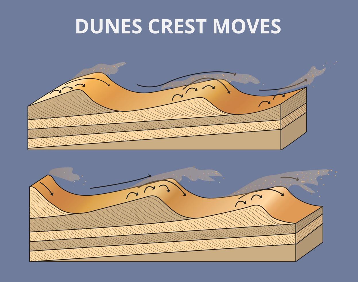 le dunes crête se déplace infographie vecteur