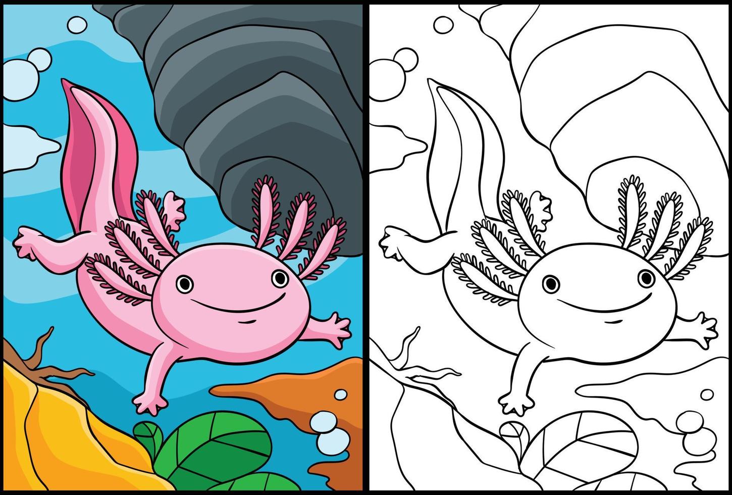 axolotl coloriage illustration colorée vecteur