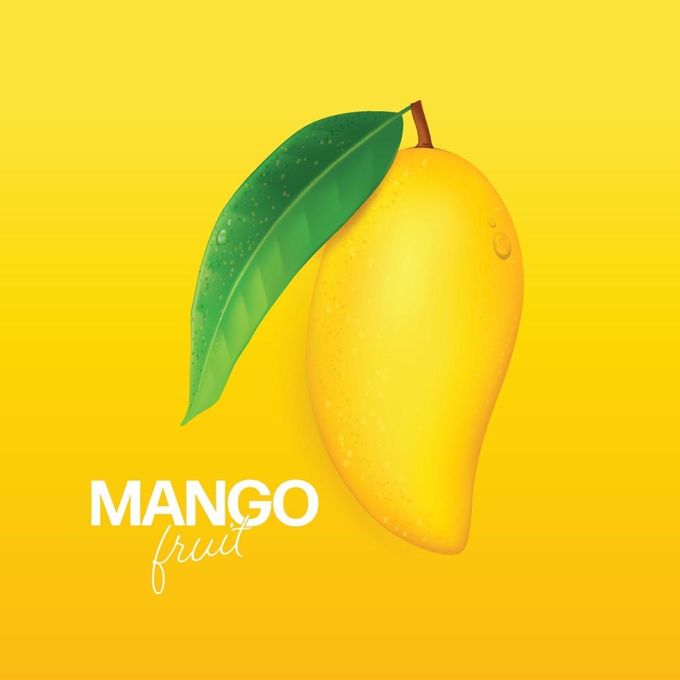 mangue fraîche avec des tranches et des feuilles illustration vecteur