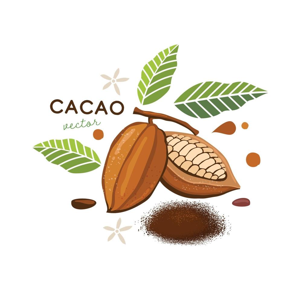 fèves de cacao avec illustration vectorielle de feuilles vertes vecteur