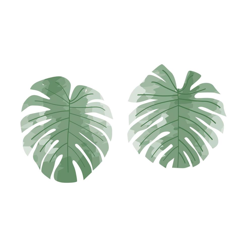 monstera feuilles aquarelle éléments ensemble vecteur