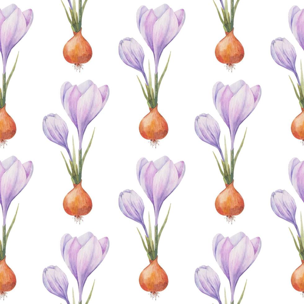 crocus modèle. Safran champ. sans couture modèle avec violet crocus. sans couture vecteur modèle sur une transparent Contexte. Contexte illustration. emballage Contexte