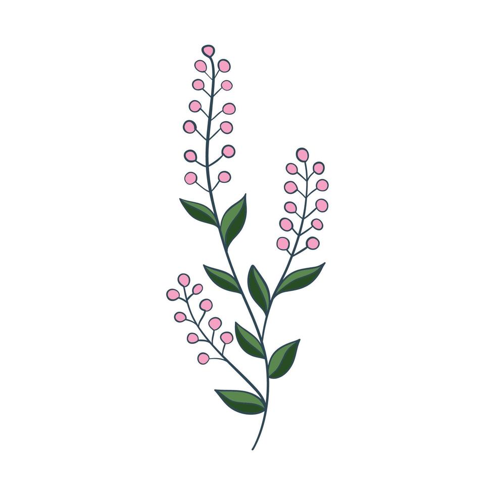 printemps coloré Marguerite fleur sur blanc Contexte vecteur
