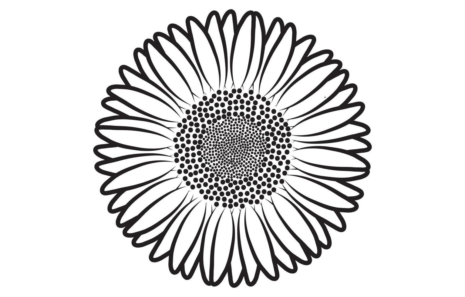 tournesol vecteur graphique conception, pour impressions, vecteur illustration