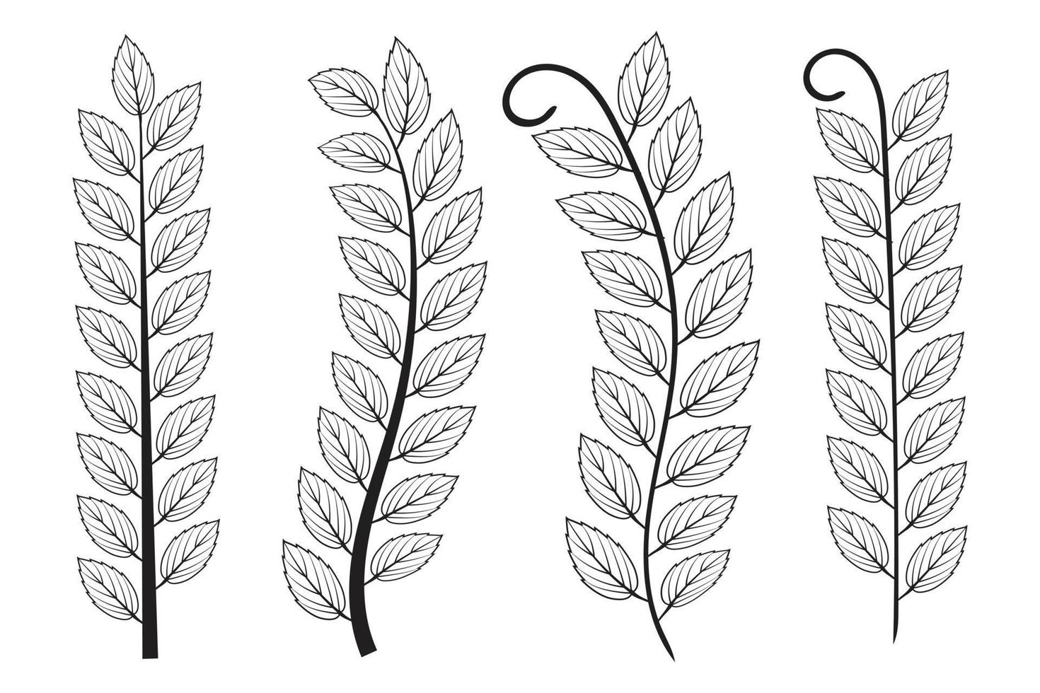 main tiré griffonnage olive arbre branches l'automne feuilles, ancien laurier couronne feuilles, flore symbole décoratif tige, botanique branche et feuilles, conception élément forêt et usine, vecteur illustration