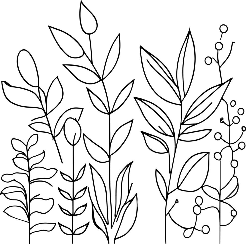 botanique élément, botanique ligne dessin, ancien botanique coloration pages, botanique éléments, botanique fleur illustration, botanique illustration noir et blanc, botanique ligne dessin feuilles, vecteur