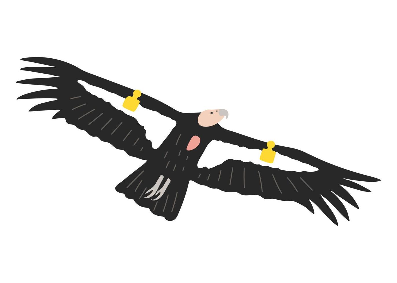 main tiré Californie condor. un en danger oiseau espèce dessin animé illustration vecteur