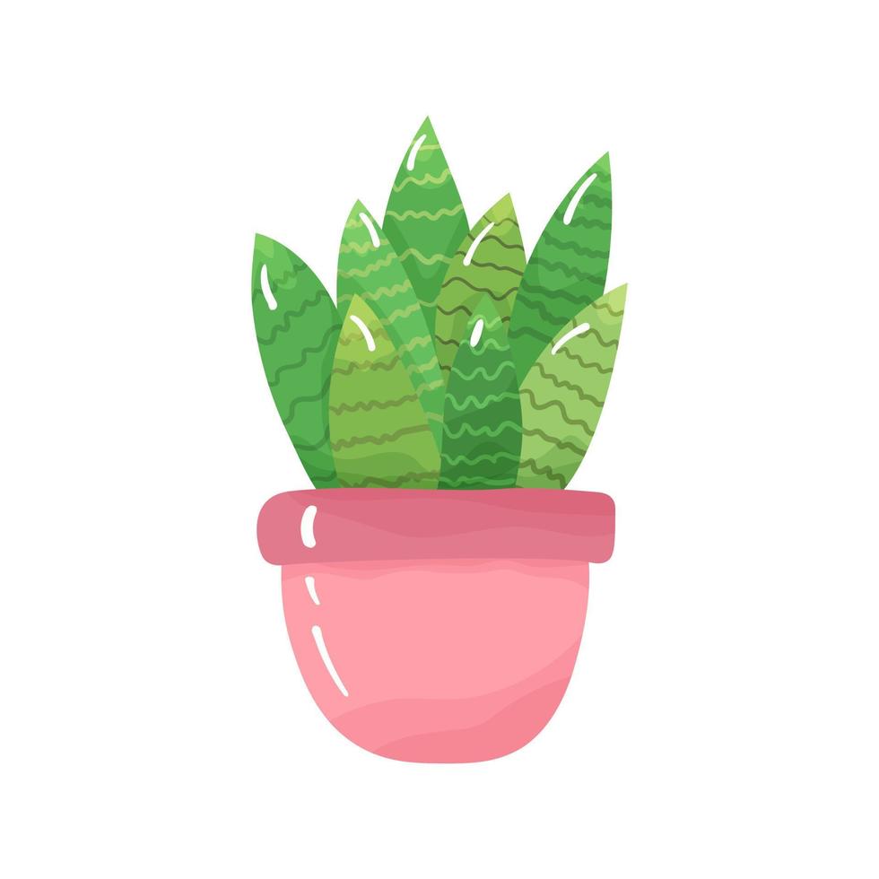 dessin animé mis en pot plante d'appartement - mignonne vert cactus avec pointes dans une rose pot. isolé sur blanc Contexte. vecteur