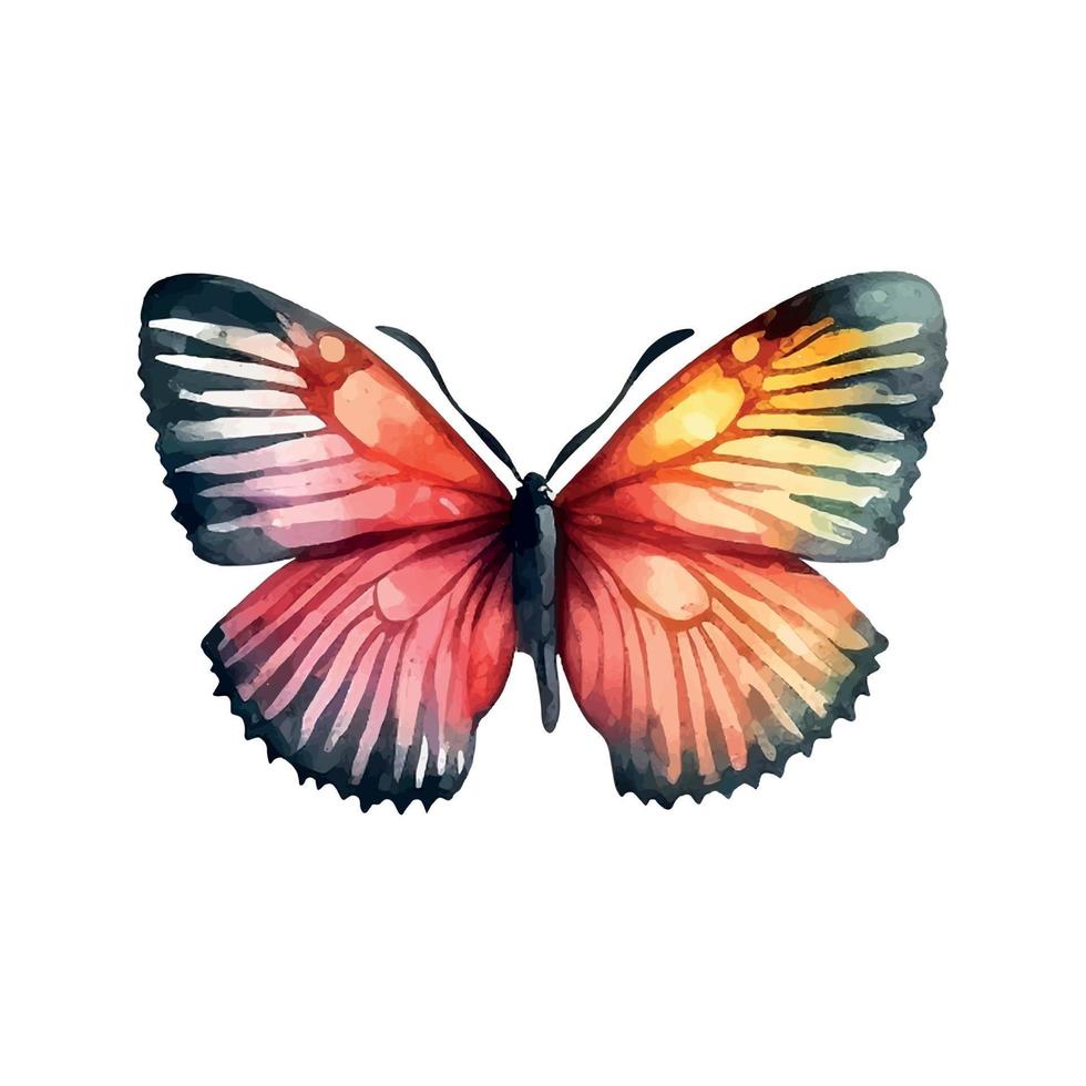 Orange Jaune papillon aquarelle isolé sur une blanc Contexte vecteur