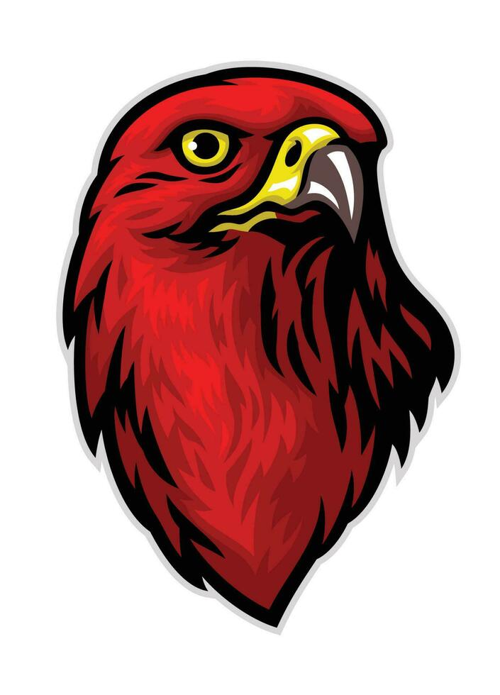 tête de rouge faucon vecteur