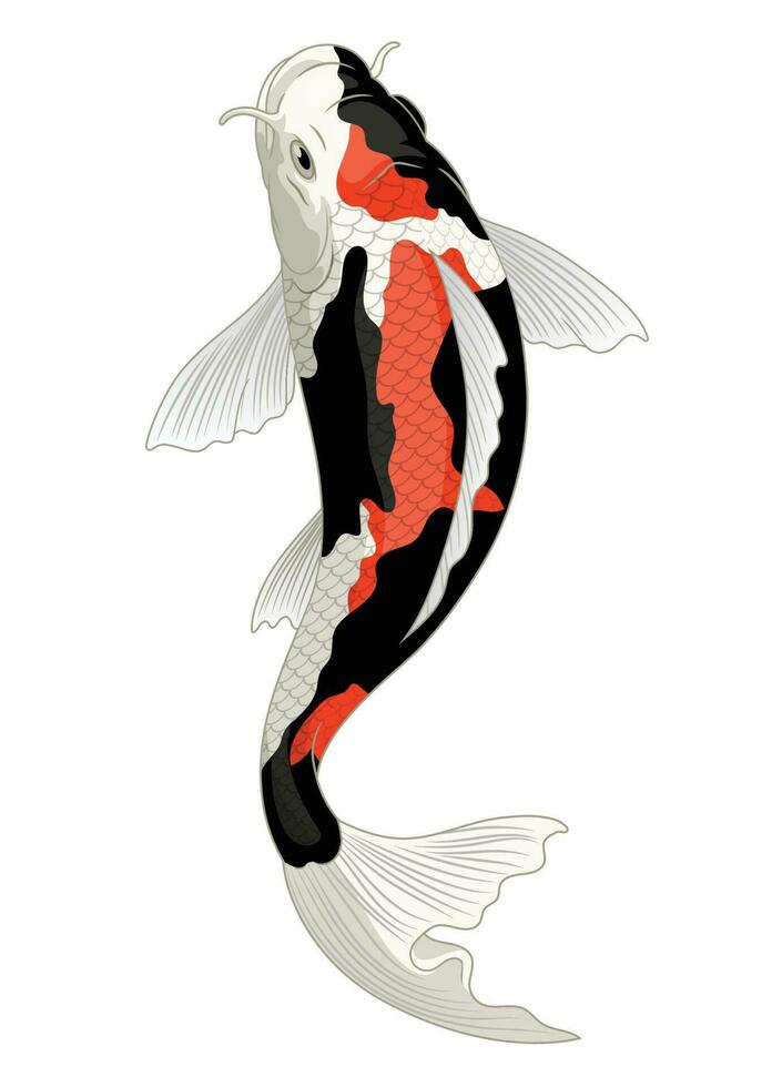 Japon koi poisson dans showa coloration modèle vecteur
