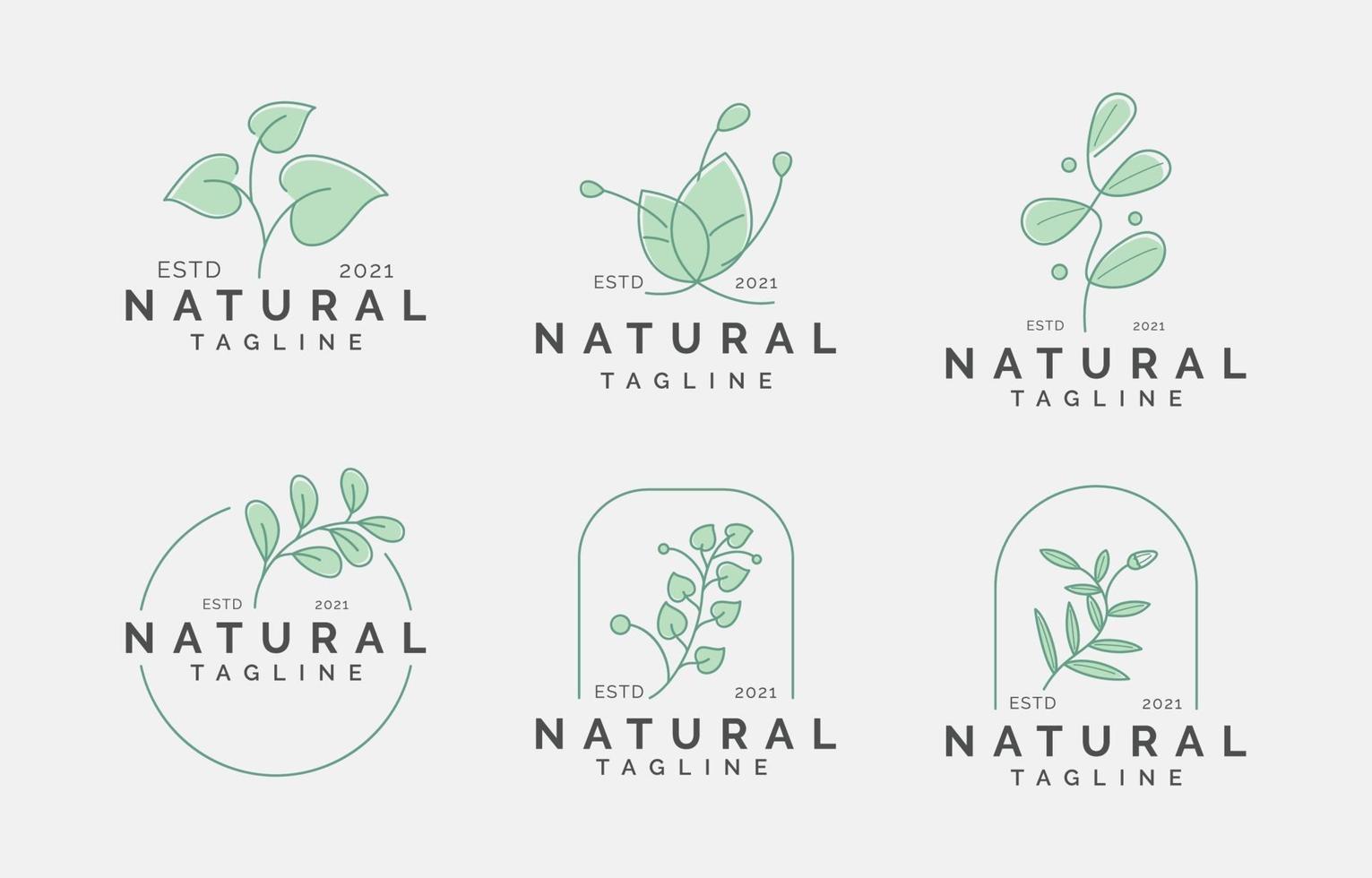 modèle de logo de beauté naturelle vecteur