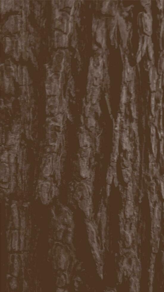 pin arbre bois peau détaillé texture vecteur