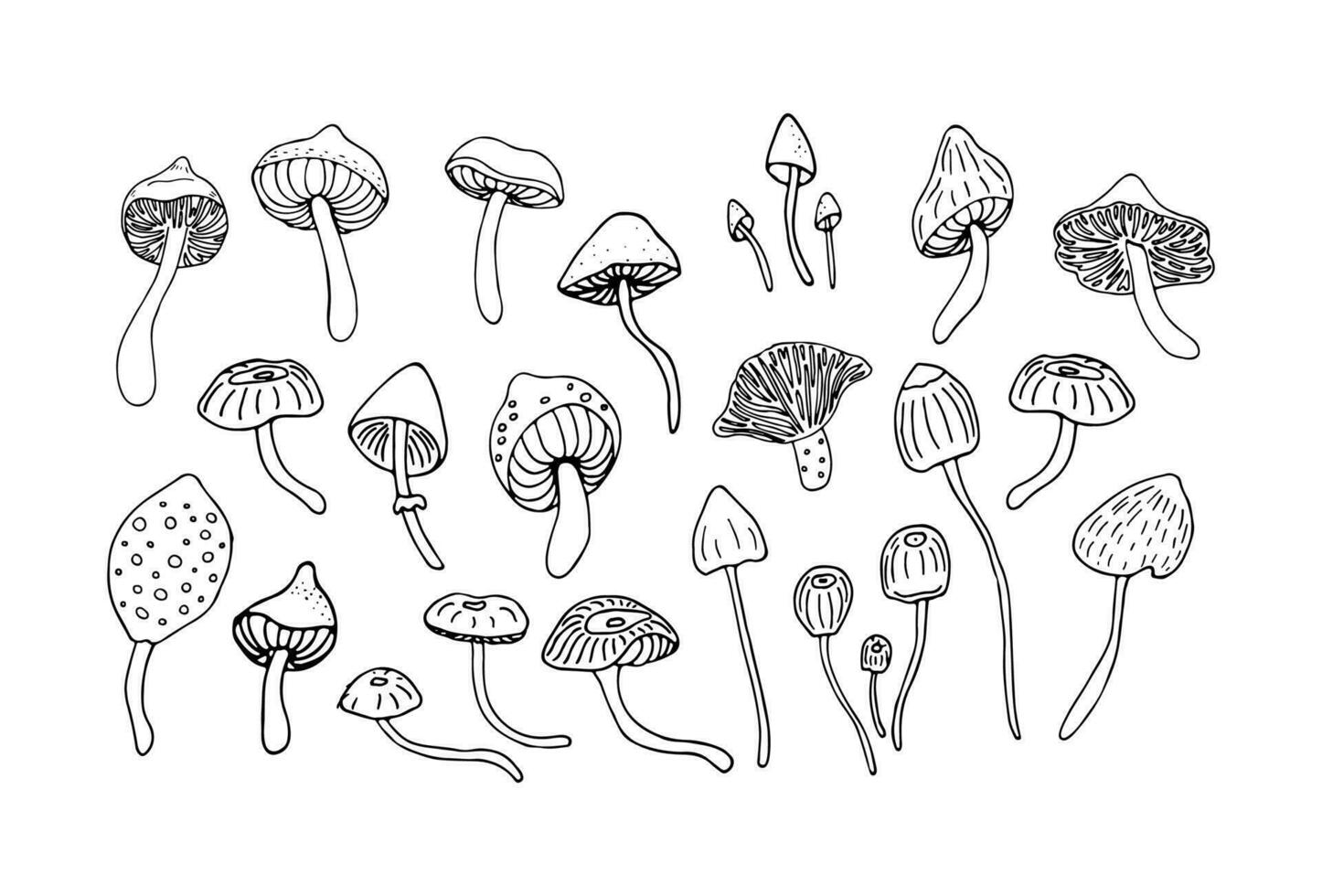 noir et blanc esquisser de forêt champignons. ensemble de dessin animé ou griffonnage style forêt champignons. vecteur illustration.