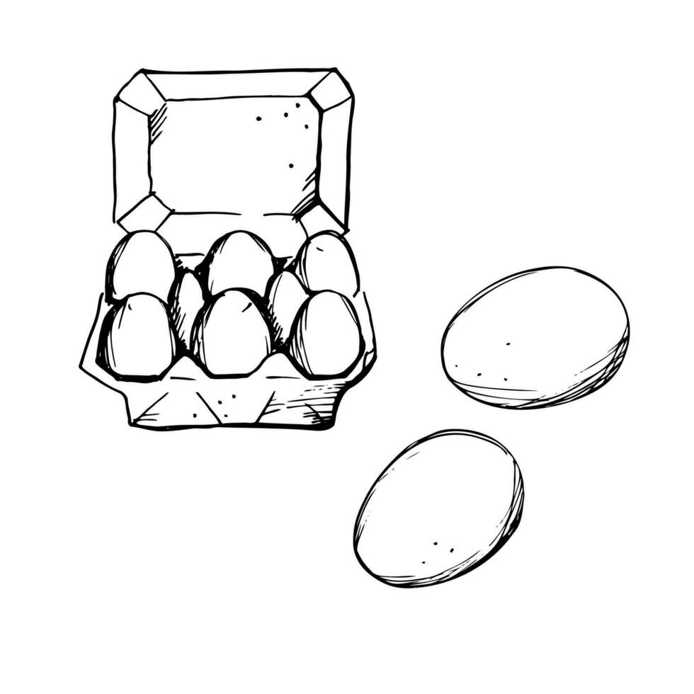 poulet des œufs. illustration de des œufs dans papier carton des boites, bouilli et frais. main dessiné. esquisser style. petit-déjeuner, biologique ferme concept. la volaille agriculture. main tiré vecteur illustration.isolé éléments