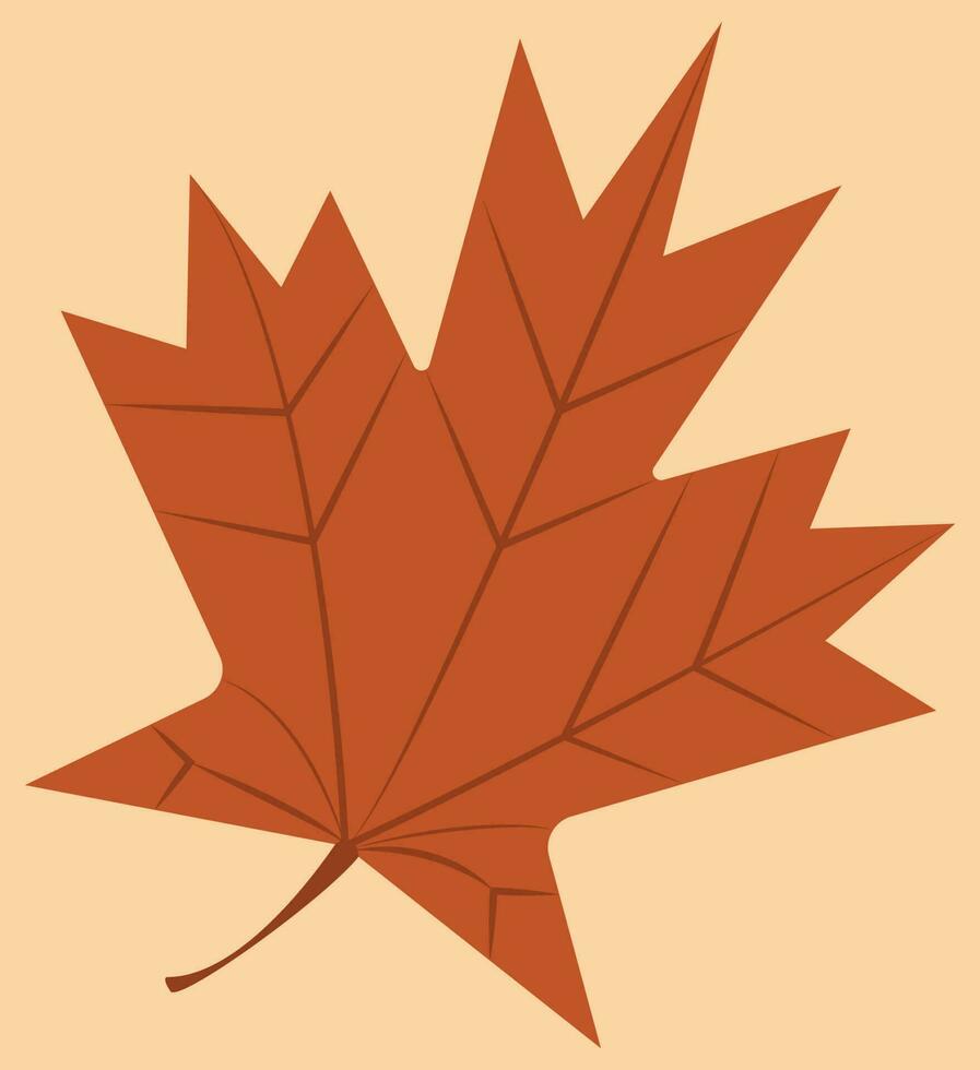 l'automne feuille, Orange feuille, déchue feuille avec Orange couleur, adapté pour l'automne annonces et affiches et social médias et bannières, l'automne feuille vecteur illustration, Canada signe et étiquette et logo