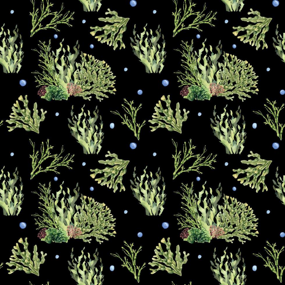 sans couture modèle de vert mer les plantes aquarelle illustration isolé sur noir. laminaire, mer salade, ascophyllum main dessiné. conception pour emballer, étiqueter, papier, textile, emballage, Marin collection vecteur