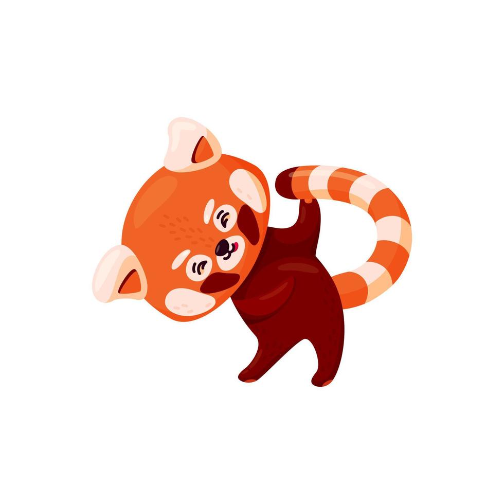 rouge Panda Faire yoga. mignonne bébé rouge Panda élongation en dehors isolé dans blanc Contexte. vecteur illustration