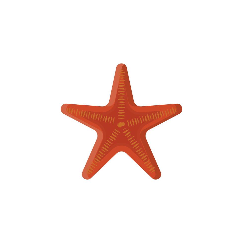 étoile de mer coloré vecteur icône illustration