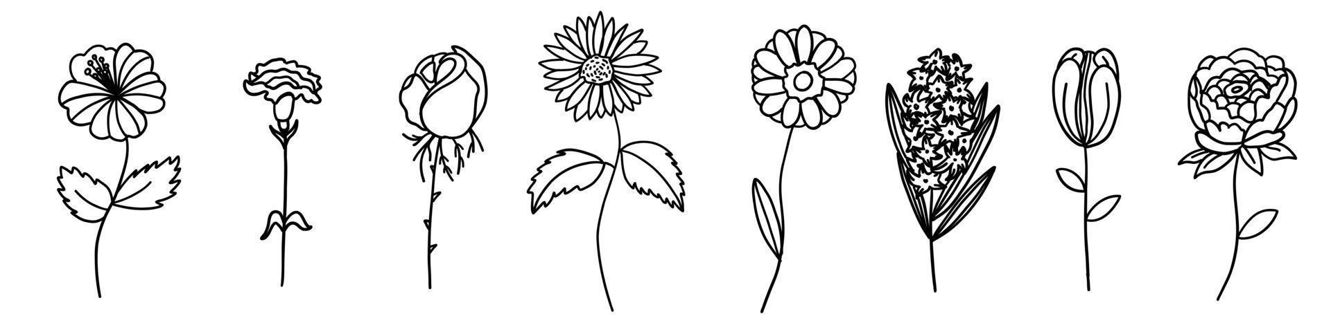 fleurs collection dans contour griffonnage plat style. ensemble de Facile floral élément plante feuilles décoratif conception. main tiré ligne art. pour coloration. vecteur illustration isolé sur blanc Contexte.