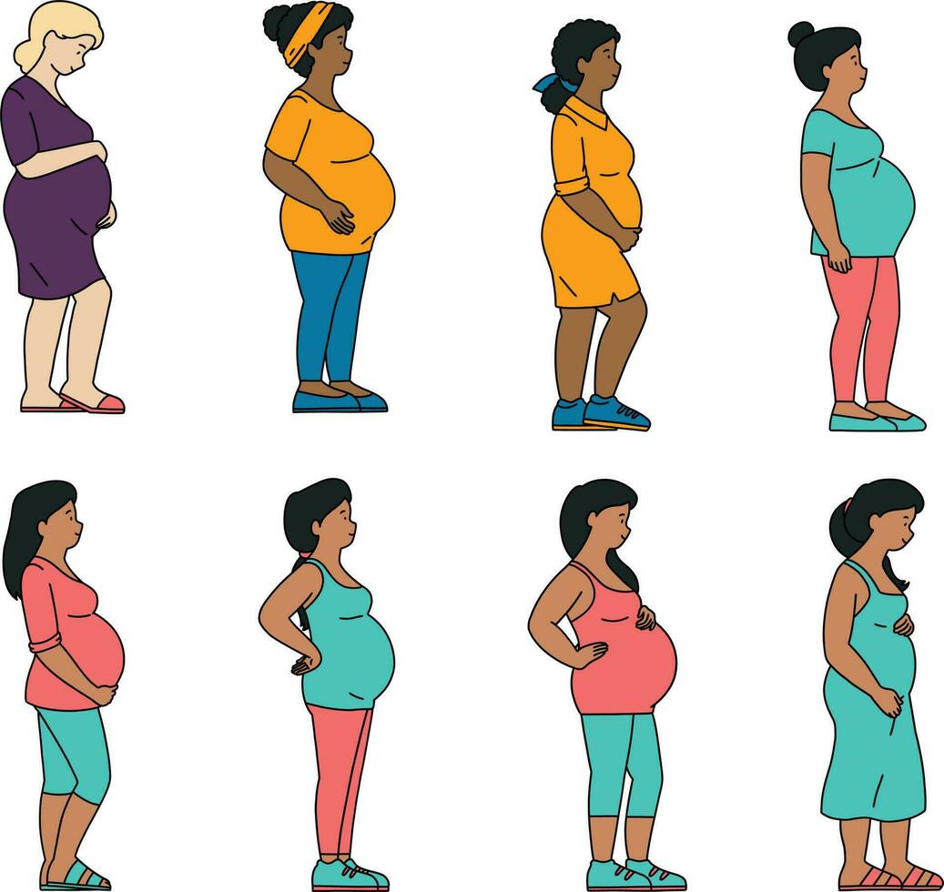 Enceinte femmes ensemble. vecteur illustration dans plat style sur blanc Contexte. ensemble de gens