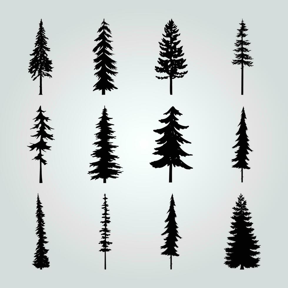 une collection de pin des arbres avec différent formes et tailles. vecteur