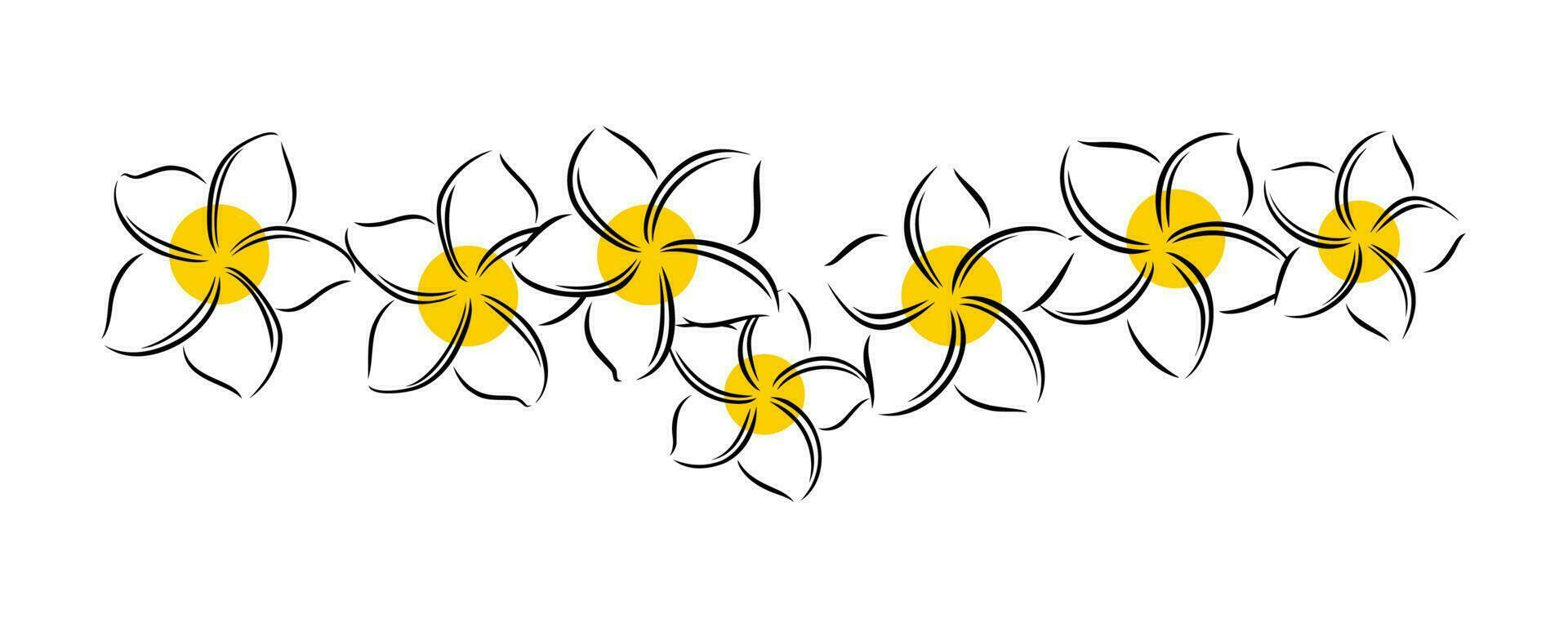 frangipanier ou plumeria exotique été fleur. gravé frangipanier isolé dans blanc Contexte. vecteur illustration